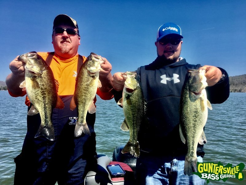 Erlebnis Big Bass Splash Demo in Deutschland - Kostenlos spielen - overview